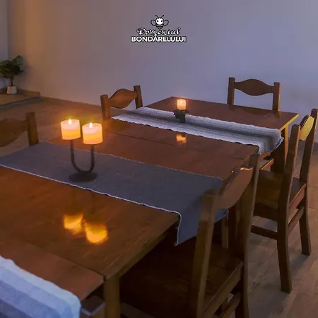 Domeniul Bondarelului Gasthuis 4*
